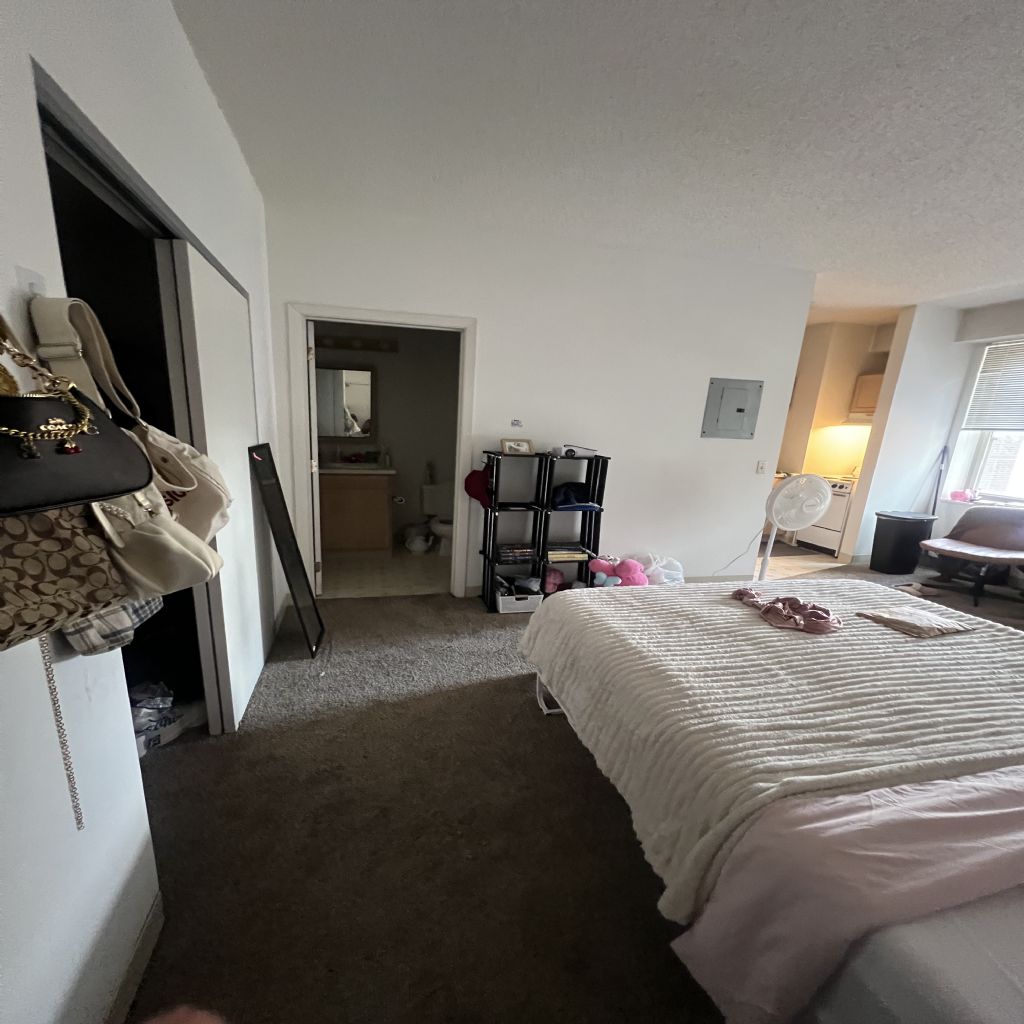 image_3