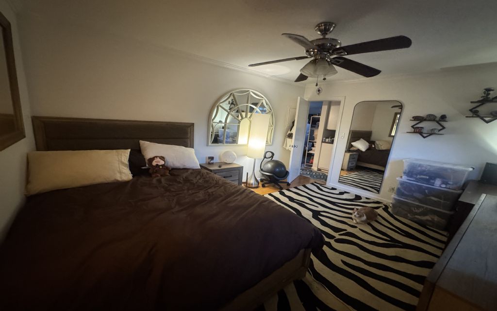 image_0