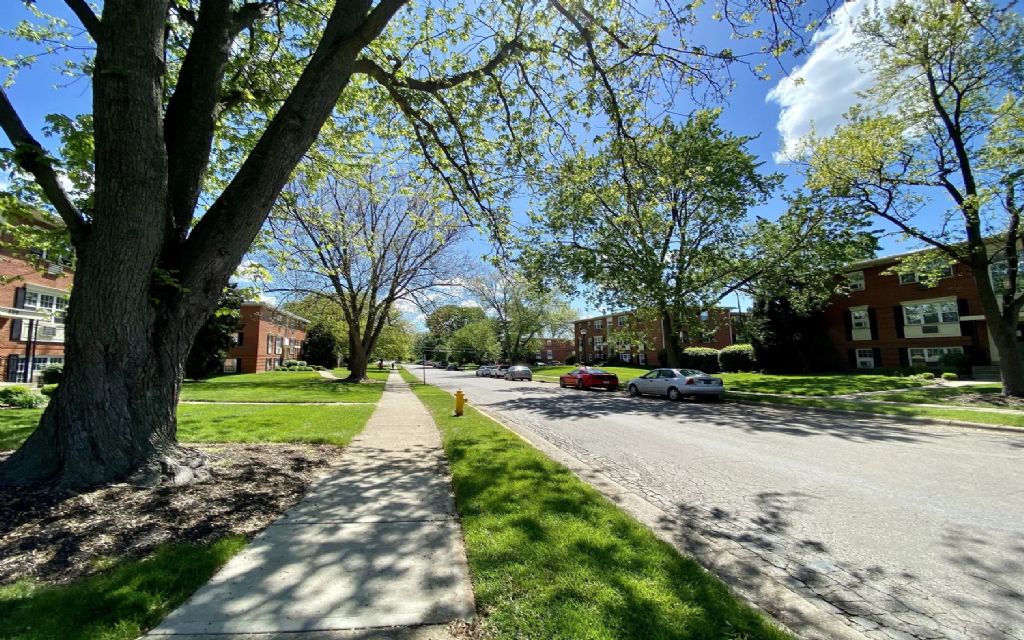 image_17