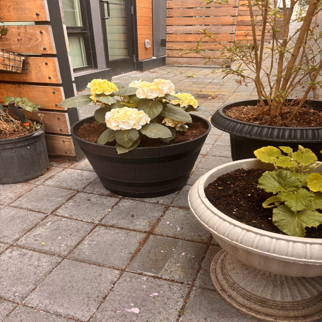 image_0