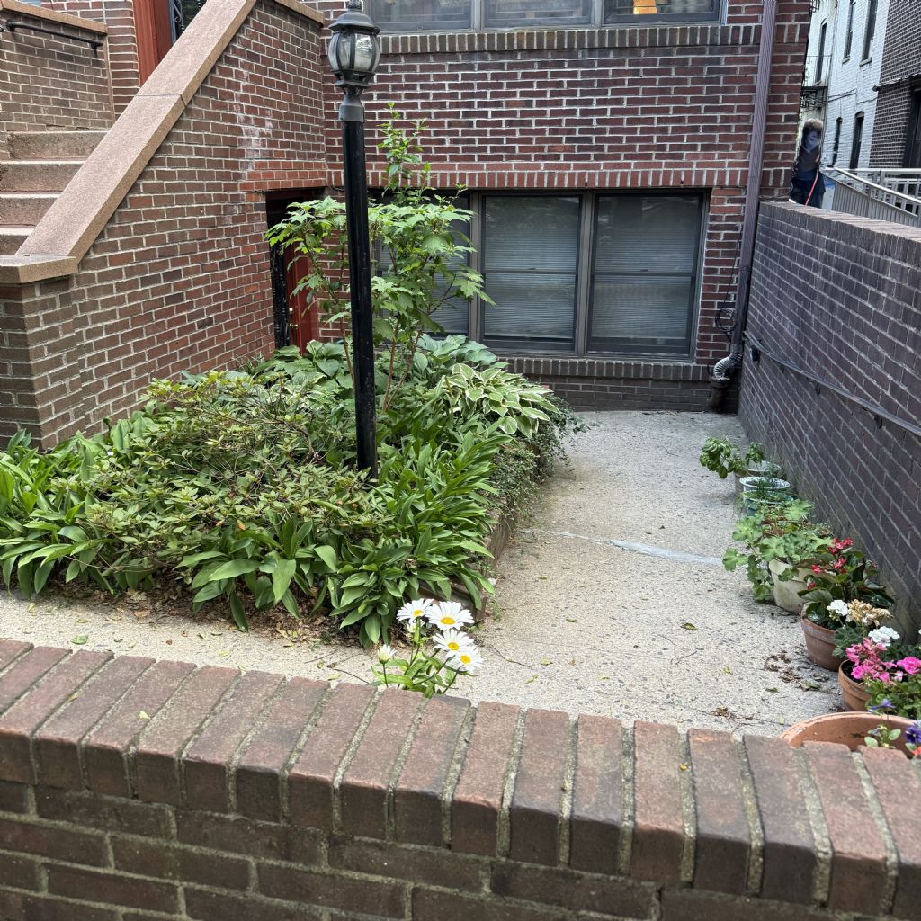 image_0