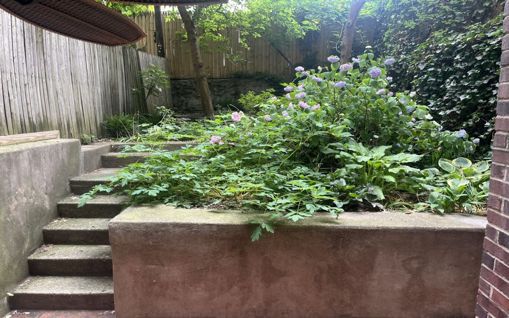 image_9