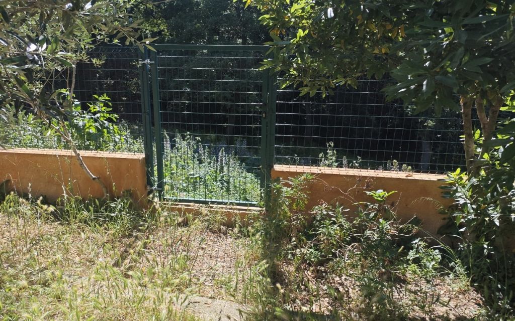 image_1