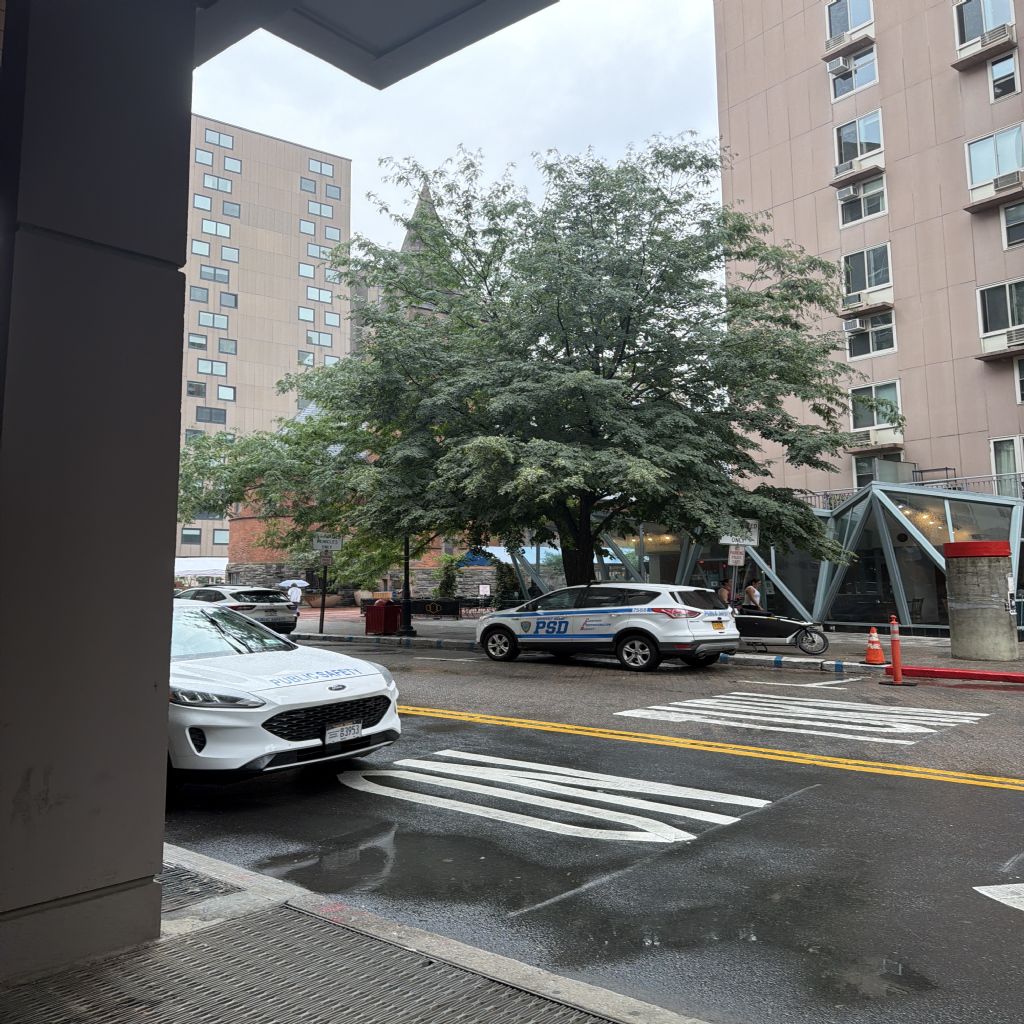 image_0