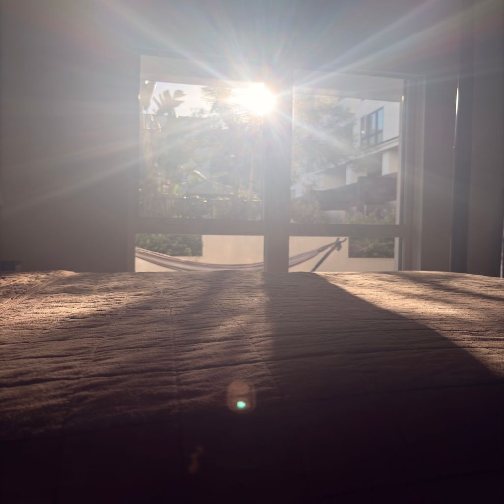 image_0