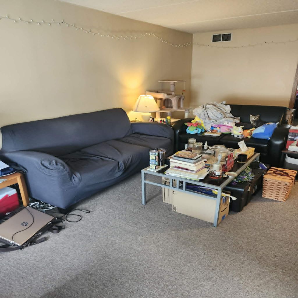 image_1