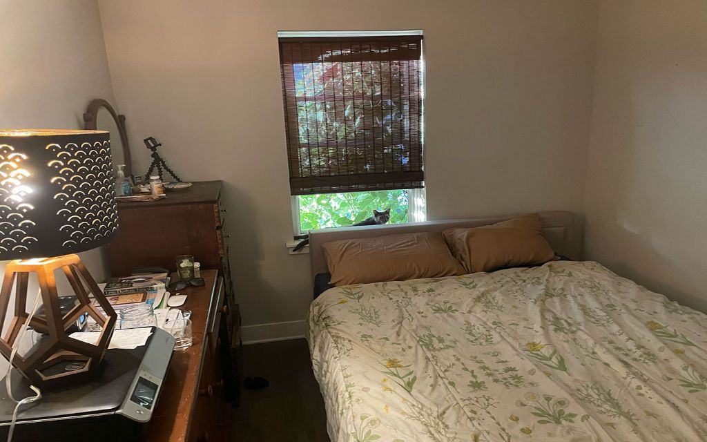 image_1