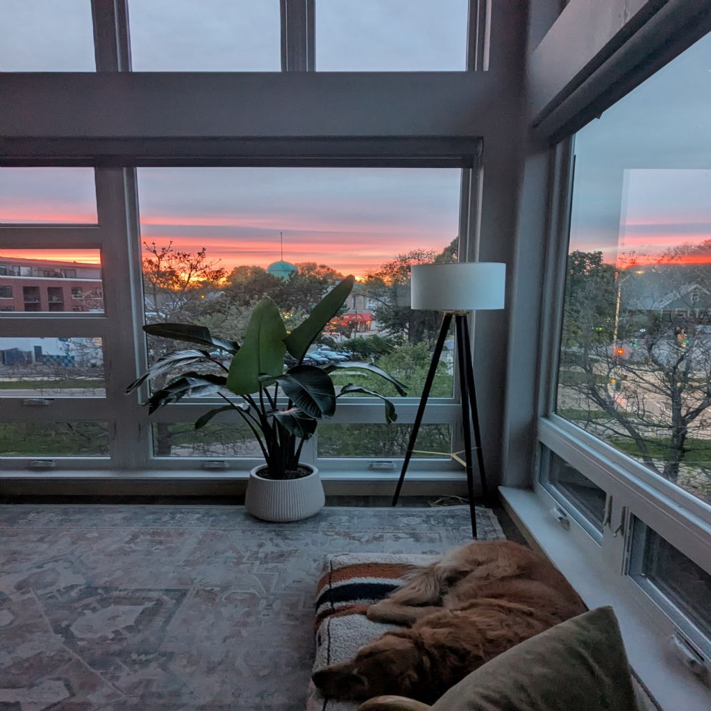 image_1