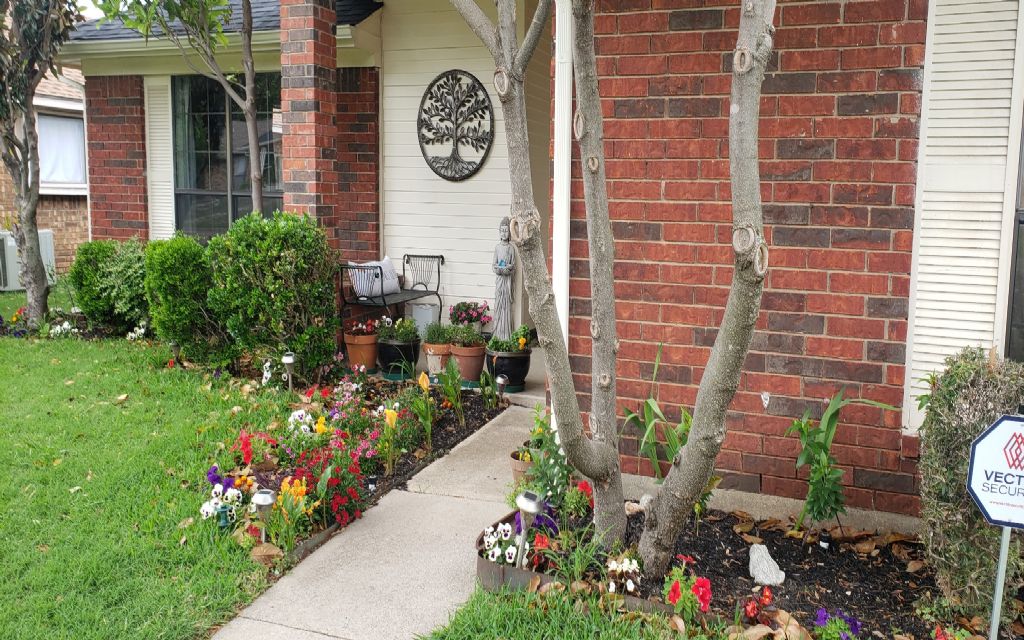 image_0