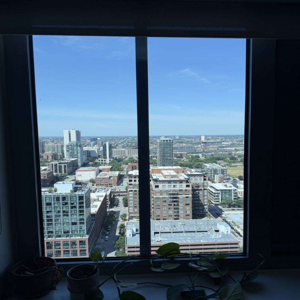 image_1