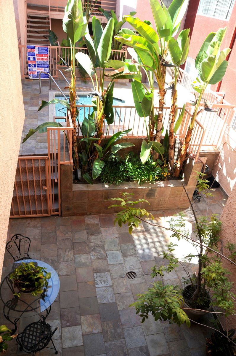 image_7
