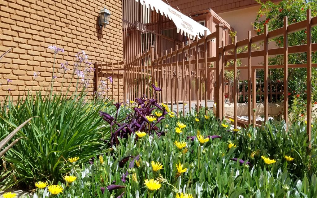 image_1
