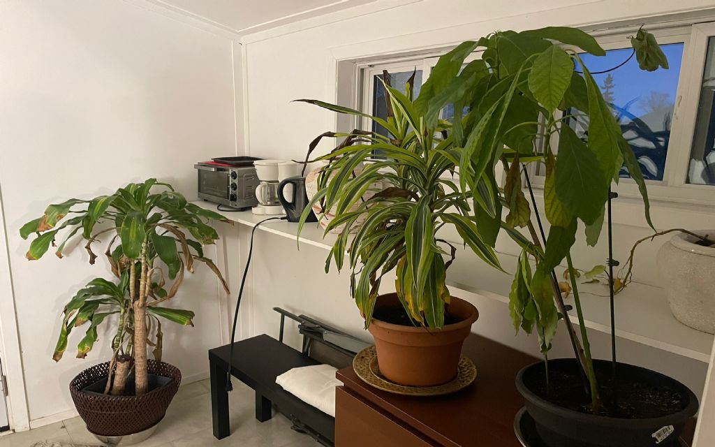 image_8