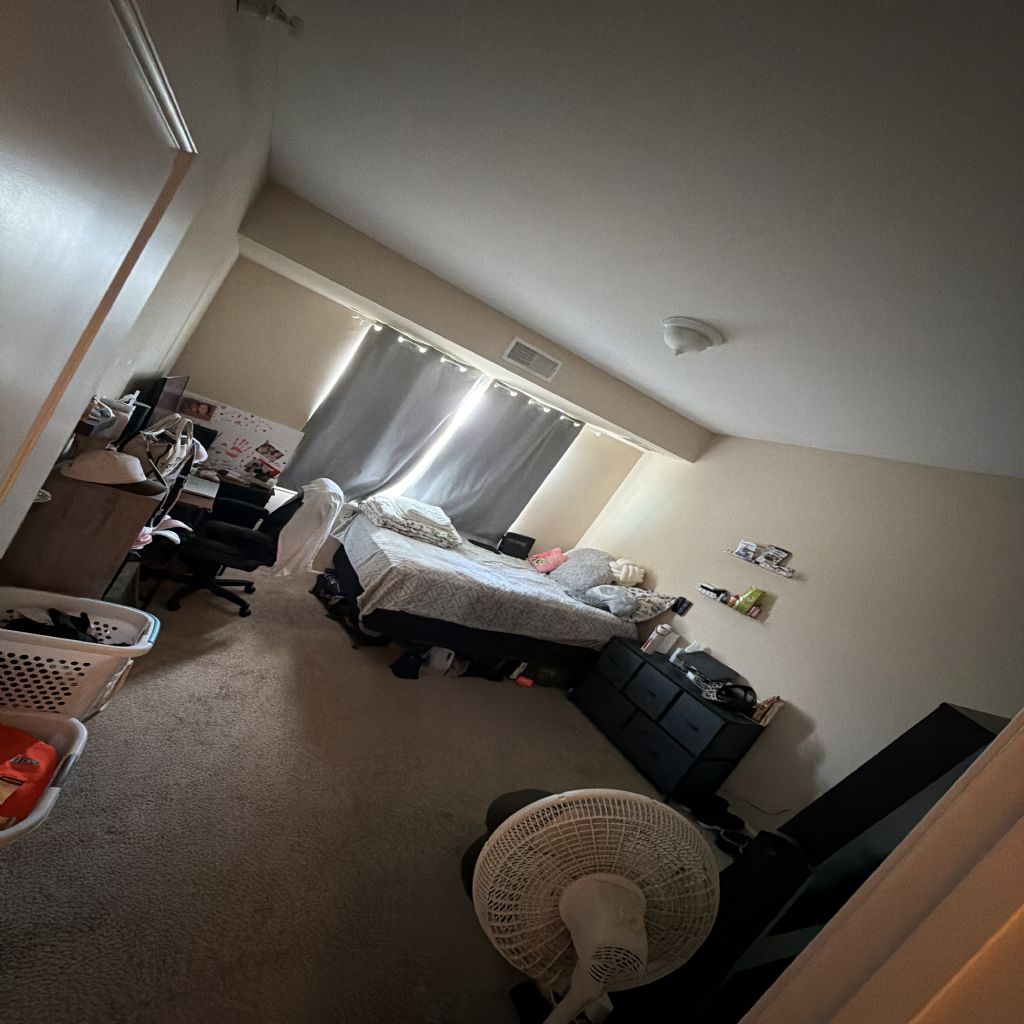 image_6