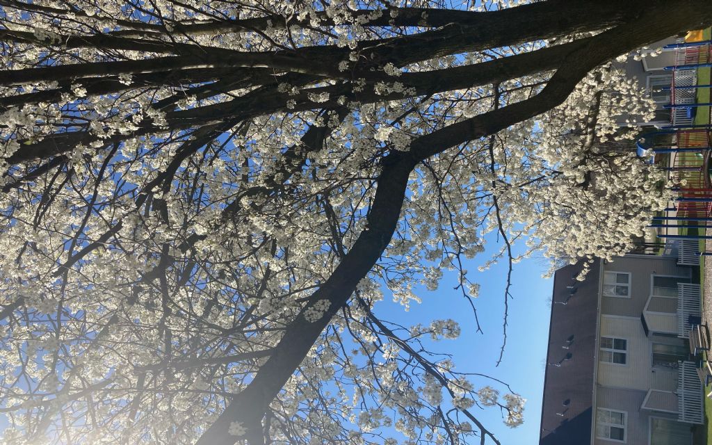 image_14