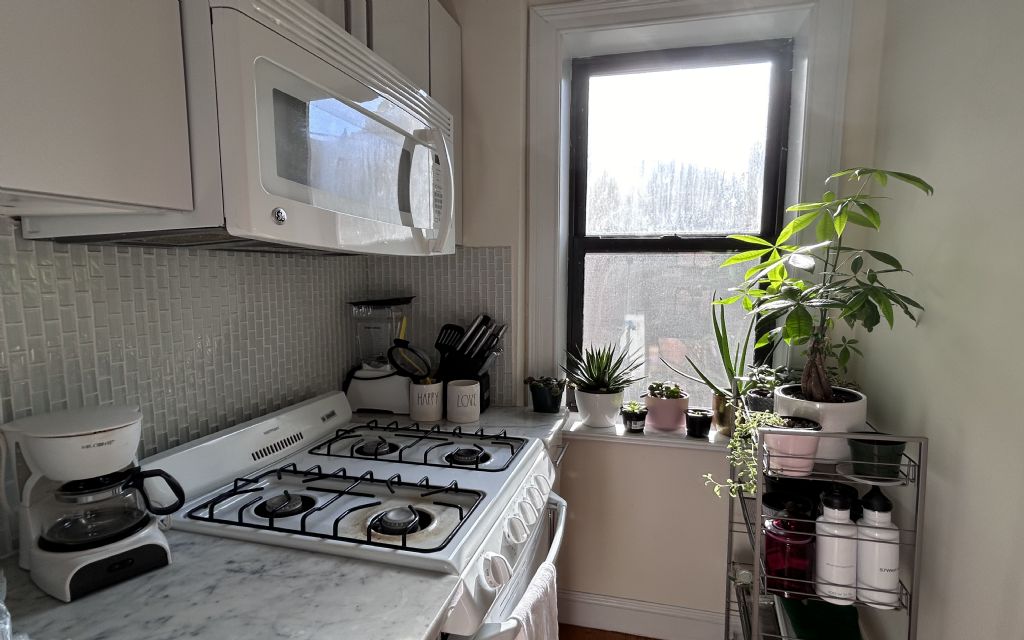 image_11