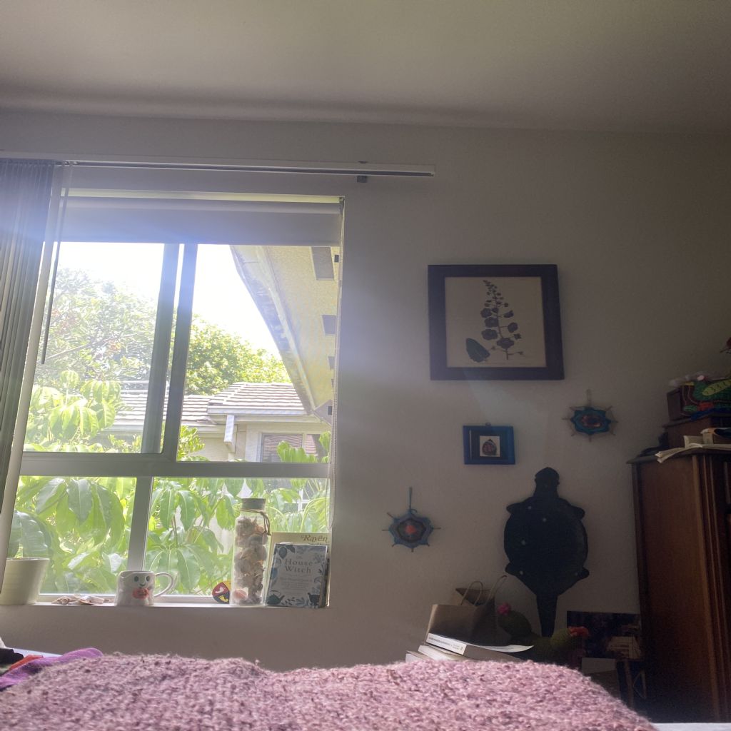 image_1