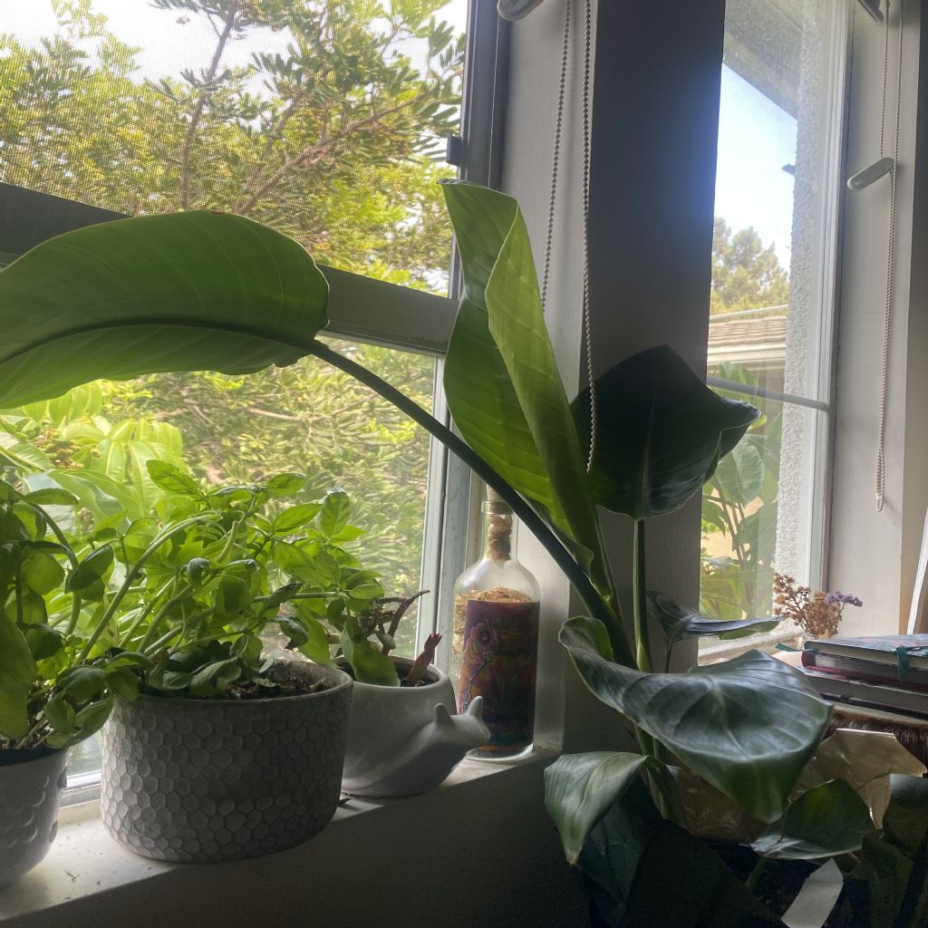 image_2