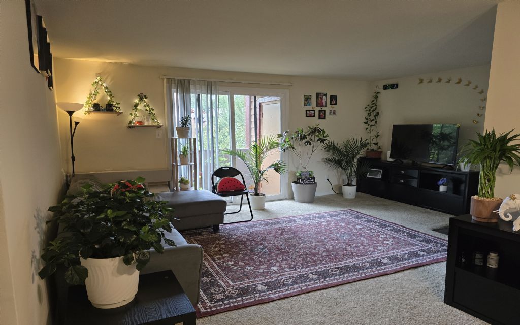 image_1