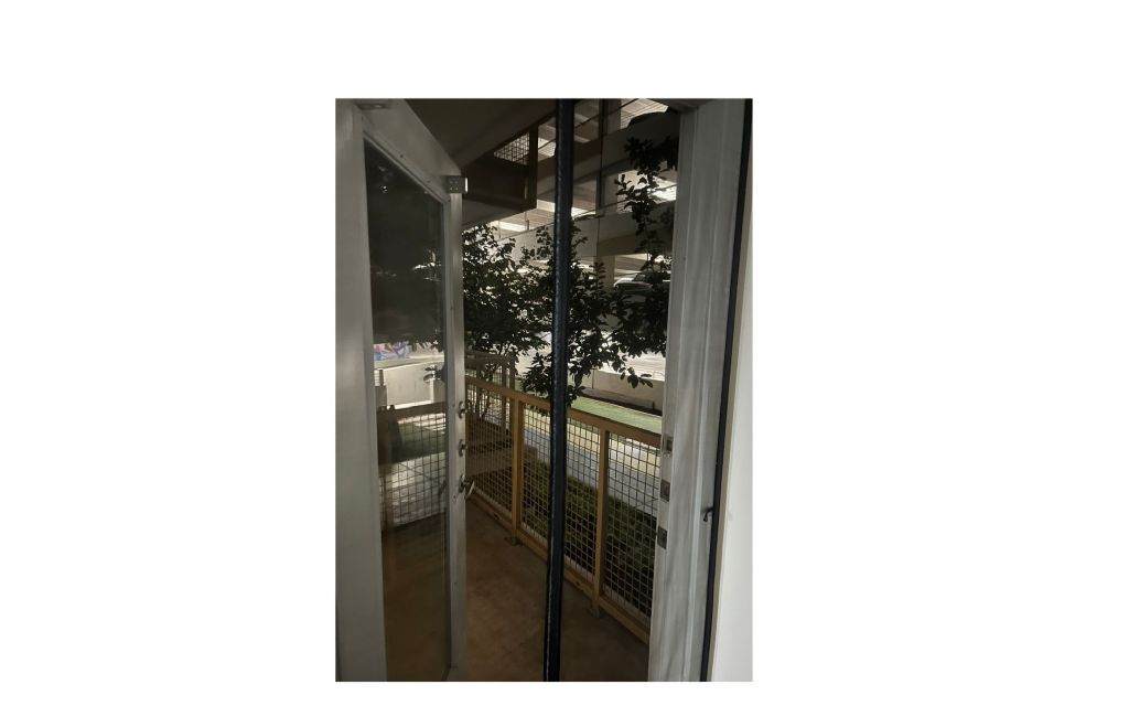 image_1