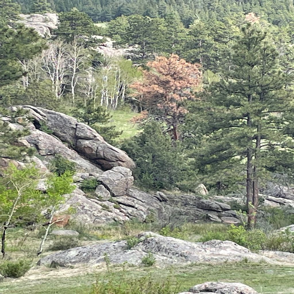 image_2