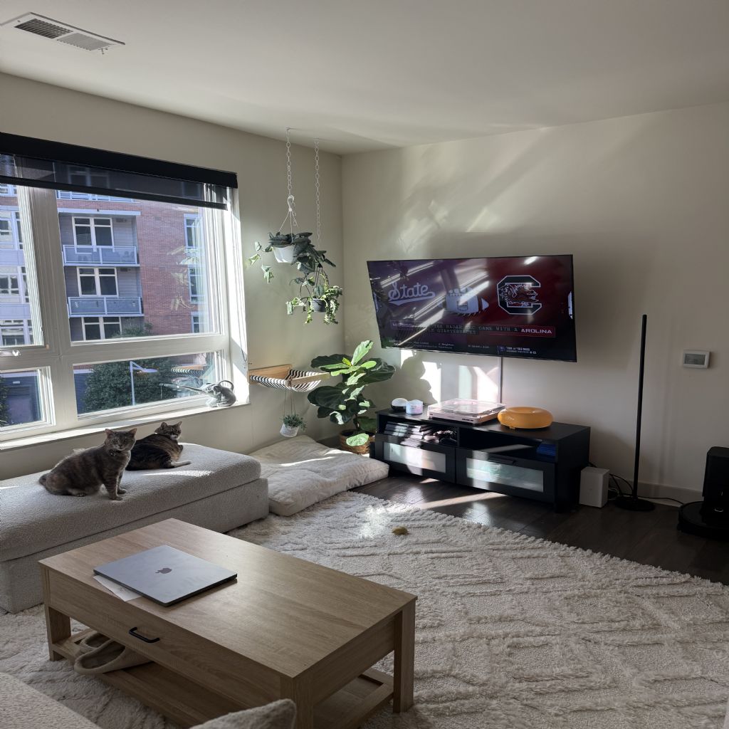 image_4