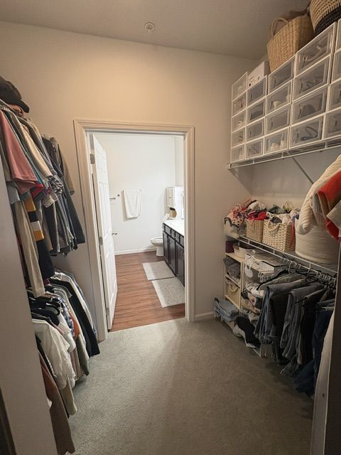 image_11
